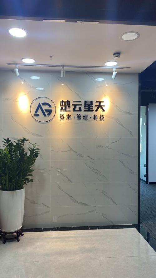 信息系统软件的技术开发,销售;信息系统设计,集成,运行维护;业务领域